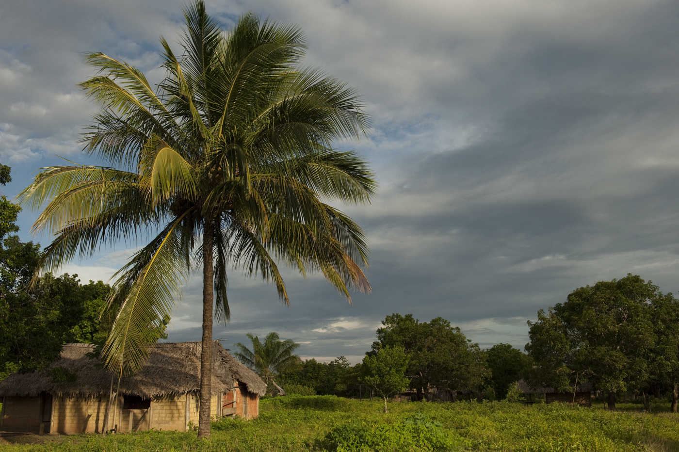 Macushi people
Yupukari village
Savannah, Rupununi
GUYANA
South America