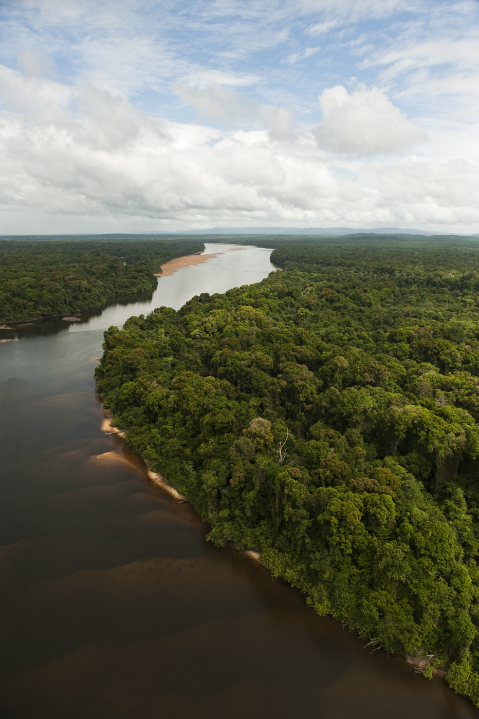 Essequibo River
Longest river in Guyana, and the largest river between the Orinoco and Amazon. Rising in the Acarai Mountains near the Brazil-Guyana border, the Essequibo flows to the north for 1,010 km through forest and savanna into the Atlantic Ocean.
Iwokrama Reserve
GUYANA
South America