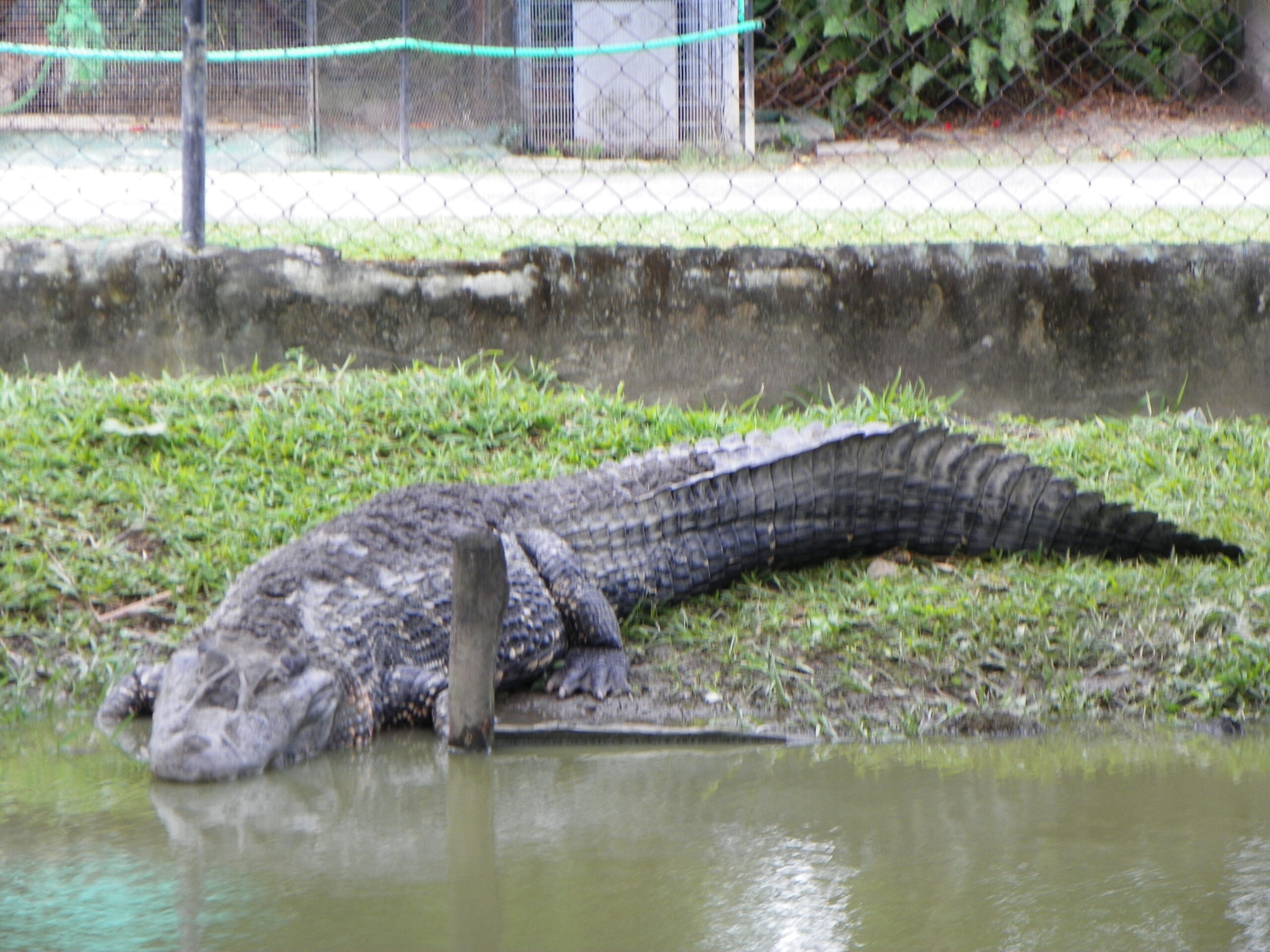 KNP Biodiversity (9)