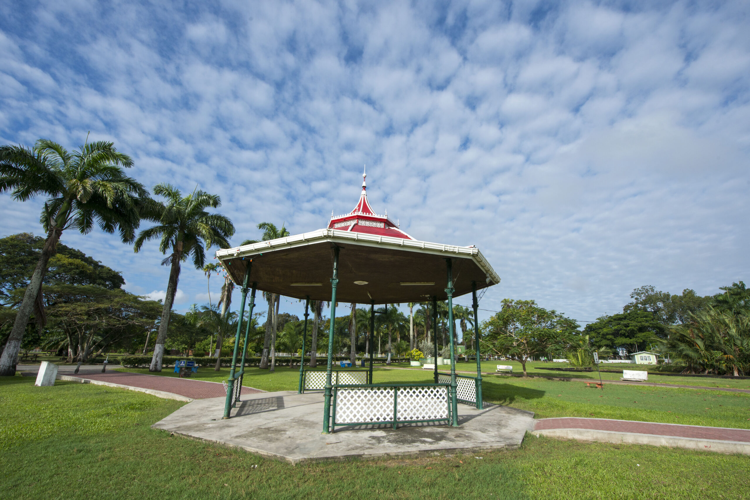 The Botanical Gardens of Georgetown, Guyana. © Daniel Rosengren