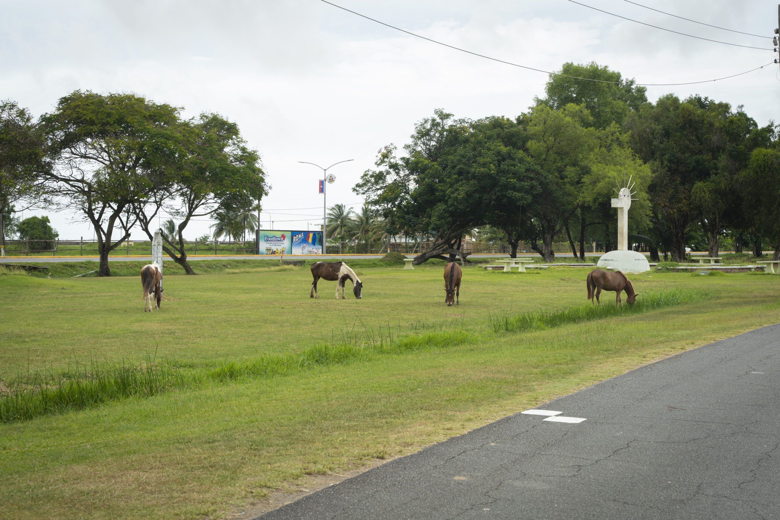 Our Work in the National Park (28)