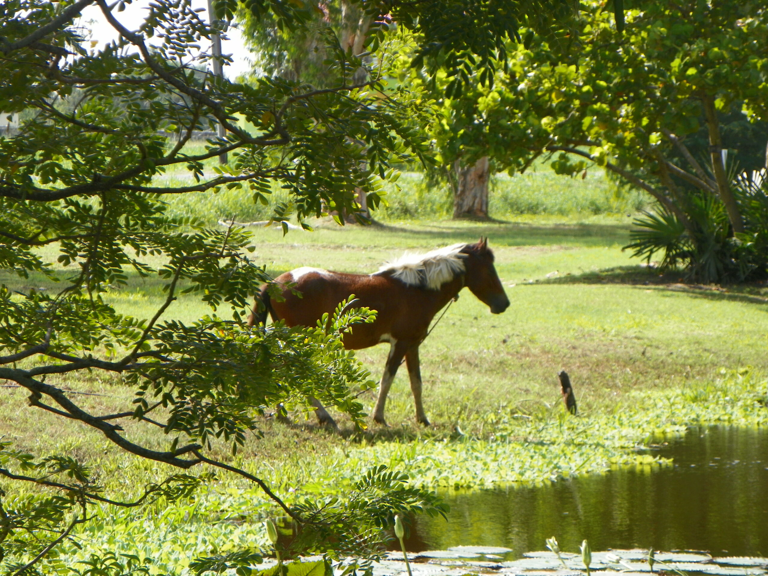 Our Work in the National Park (34)