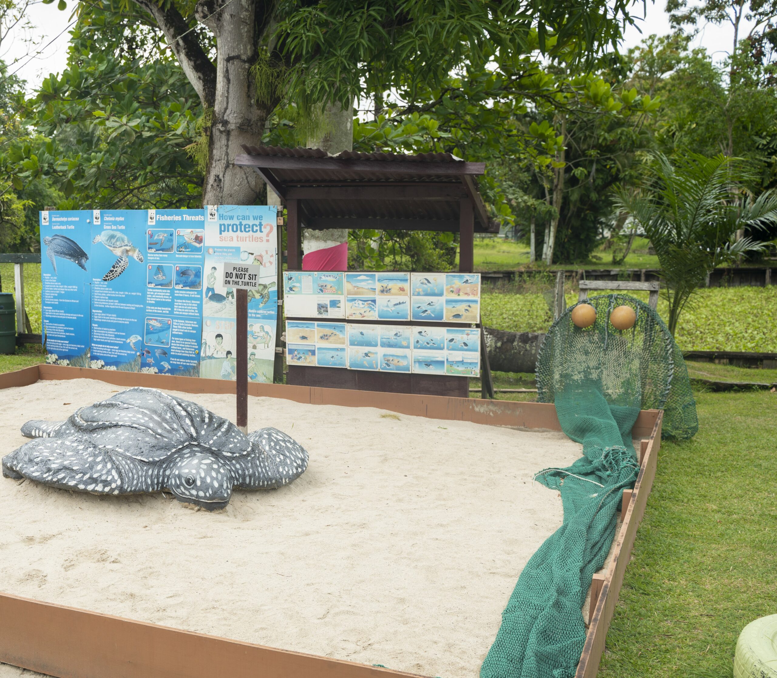 Our Work in the Zoo (34)