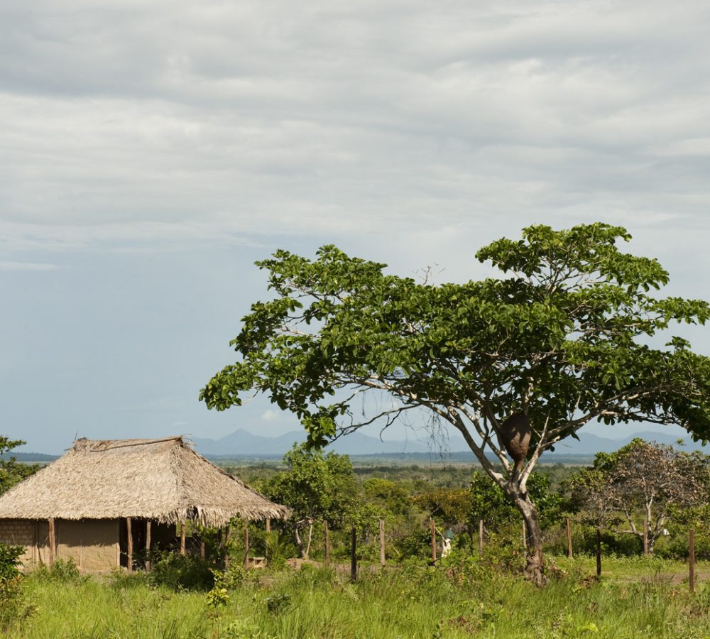 Macushi people
Yupukari village
Savannah, Rupununi
GUYANA
South America